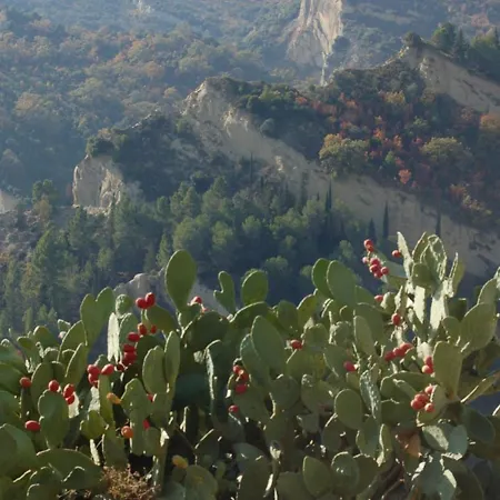 Basilicata Host To Host - Il Maestrale 2 *